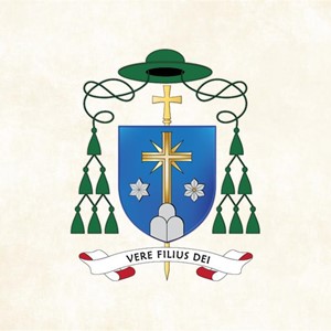 Biskupski grb mons. Marka Kovača